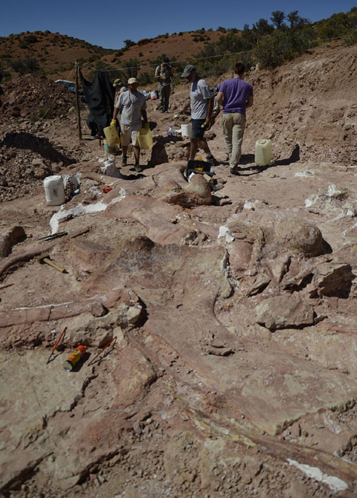 biggest dinosau...2